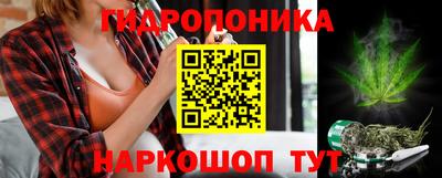 jwh Гудермес